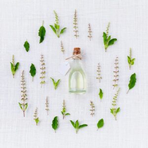 Ayurvedic companies in india